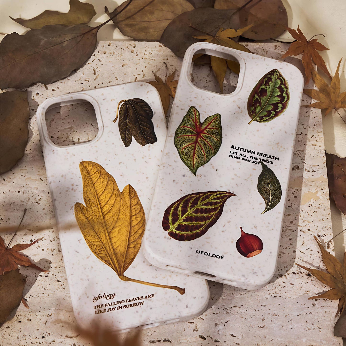 Biodegradable MagSafe iPhone Case | Eco-Friendly Compostable Phone Cover for iPhone 11-16 Pro Max
